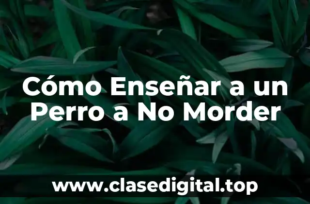 ¿Por qué los Perros Muerden?