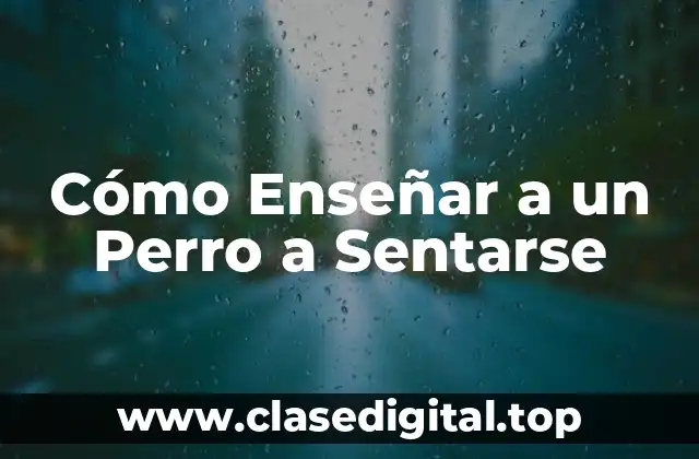 Cómo Enseñar a un Perro a Sentarse
