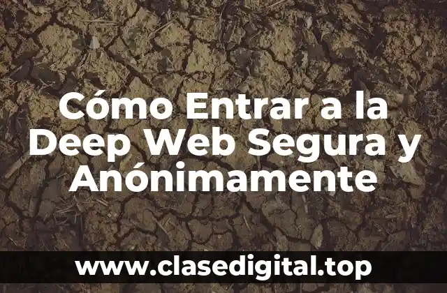 Cómo Entrar a la Deep Web Segura y Anónimamente