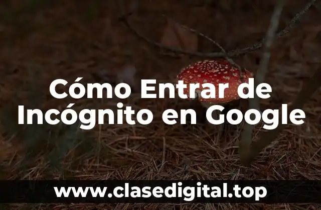 Cómo Entrar de Incógnito en Google