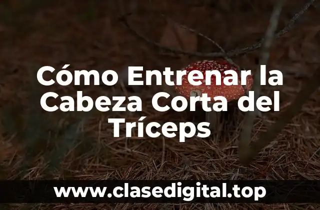 Cómo Entrenar la Cabeza Corta del Tríceps