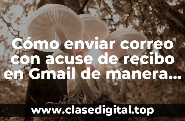 ¿Qué es un acuse de recibo y por qué es importante?