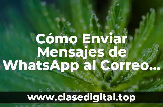 Cómo Enviar Mensajes de WhatsApp al Correo Electrónico