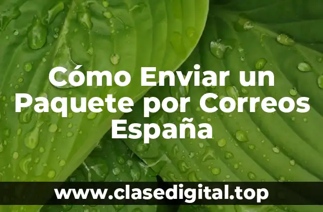 Cómo Enviar un Paquete por Correos España