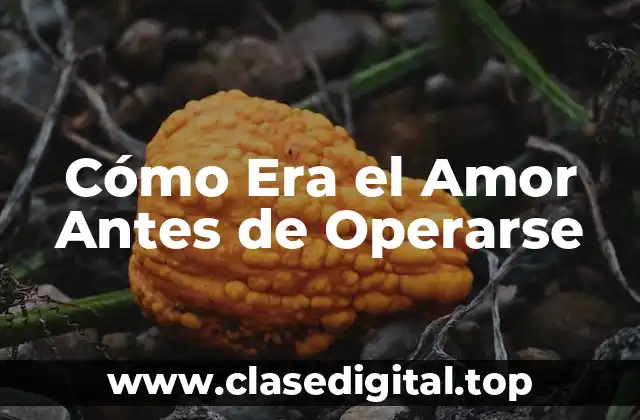 Cómo Era el Amor Antes de Operarse