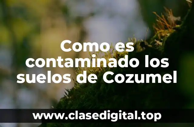 Ejemplos de contaminación de suelos