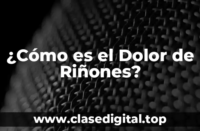 ¿Qué son los Riñones y qué Funciones Realizan?