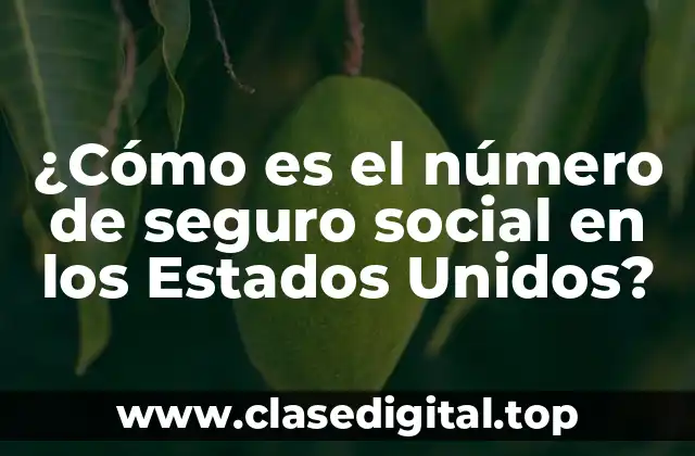 ¿Cómo es el número de seguro social en los Estados Unidos?