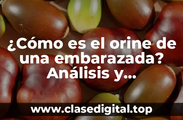 ¿Cómo es el orine de una embarazada? Análisis y características