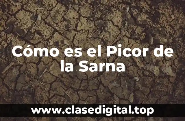 Cómo es el Picor de la Sarna