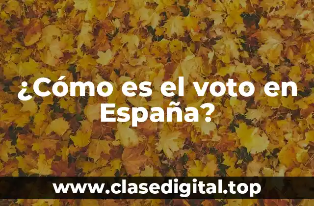 ¿Quiénes pueden votar en España?
