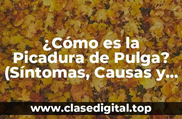 ¿Cómo es la Picadura de Pulga? (Síntomas, Causas y Tratamiento)