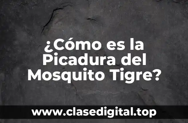 ¿Cómo es la Picadura del Mosquito Tigre?
