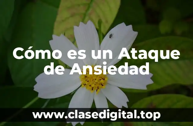 Cómo es un Ataque de Ansiedad
