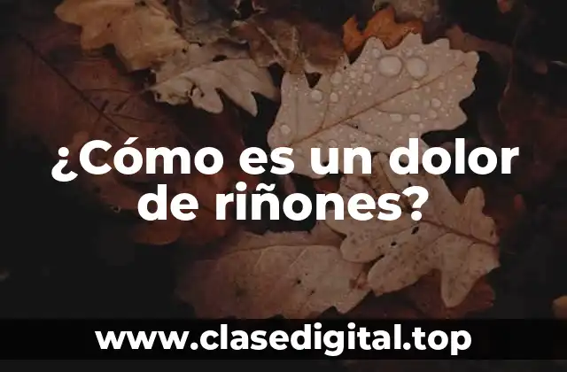 ¿Cómo es un dolor de riñones?