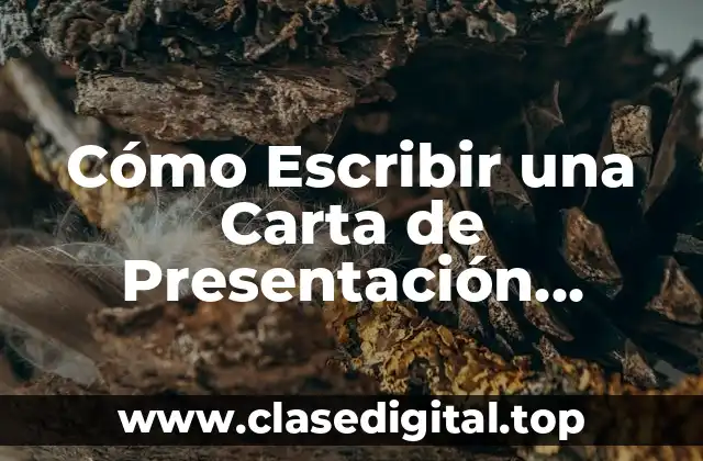 ¿Cuál es el Propósito de la Carta de Presentación?