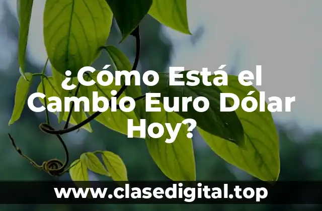 ¿Cómo Está el Cambio Euro Dólar Hoy?