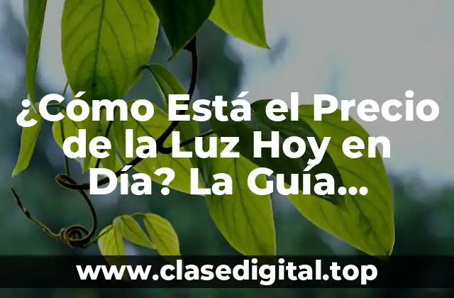 ¿Cómo Está el Precio de la Luz Hoy en Día? La Guía Definitiva