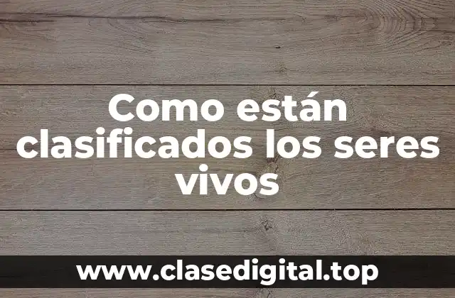 Como están clasificados los seres vivos