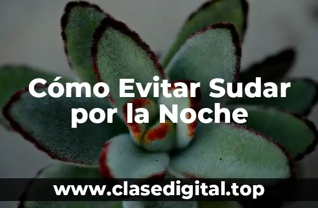 Cómo Evitar Sudar por la Noche