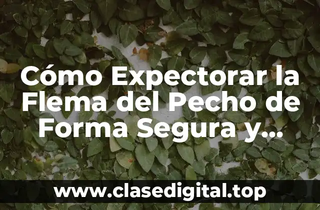 Cómo Expectorar la Flema del Pecho de Forma Segura y Eficaz