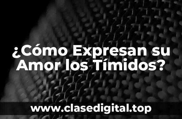 ¿Cómo Expresan su Amor los Tímidos?