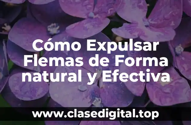 Causas de la Acumulación de Flemas