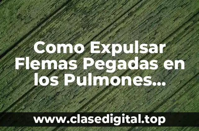 Como Expulsar Flemas Pegadas en los Pulmones Remedios Caseros
