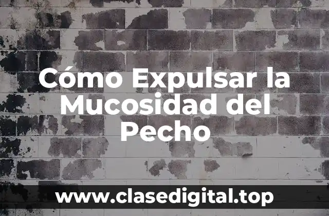 Causas de la Mucosidad del Pecho