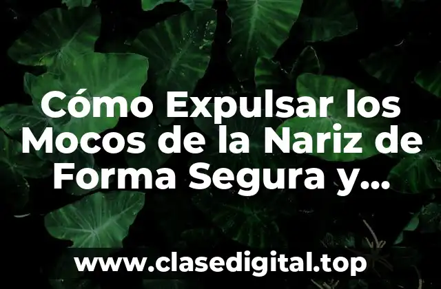 Cómo Expulsar los Mocos de la Nariz de Forma Segura y Efectiva