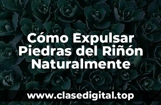 Cómo Expulsar Piedras del Riñón Naturalmente