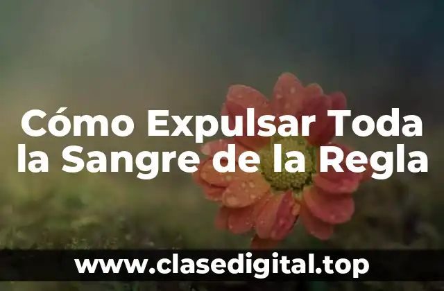 Cómo Expulsar Toda la Sangre de la Regla