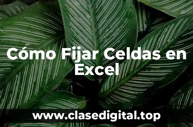 Cómo Fijar Celdas en Excel