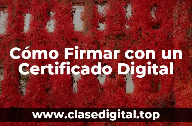 Cómo Firmar con un Certificado Digital
