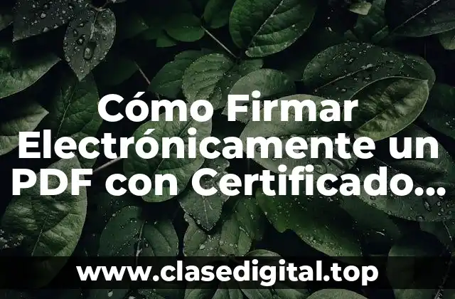 ¿Qué es un Certificado Digital?