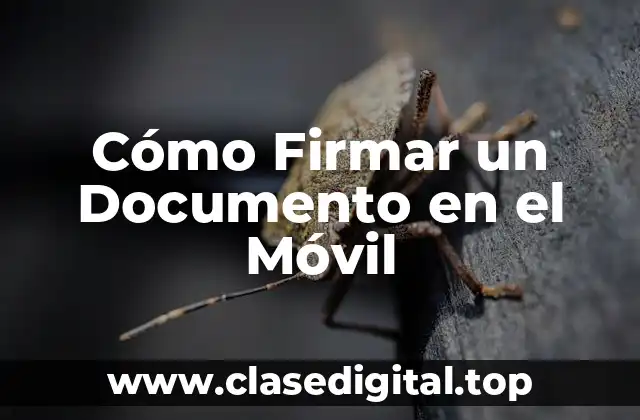 Cómo Firmar un Documento en el Móvil