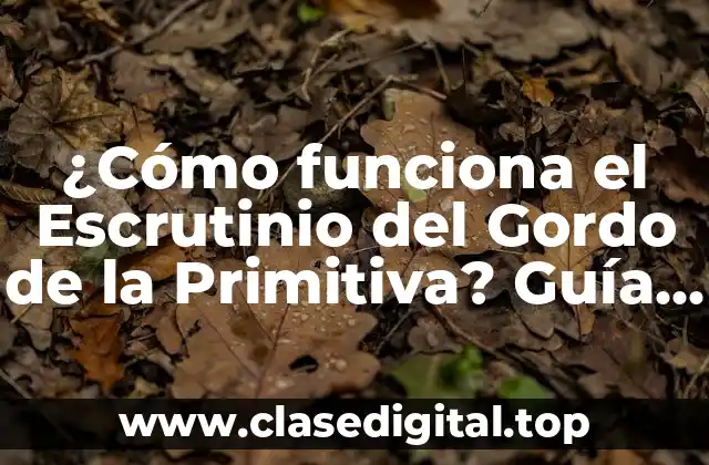 ¿Cómo funciona el Escrutinio del Gordo de la Primitiva? Guía Completa y Detallada