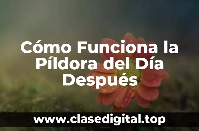 Cómo Funciona la Píldora del Día Después