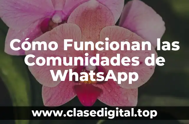 ¿Qué son las Comunidades de WhatsApp?