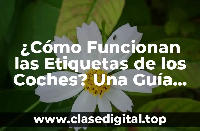 ¿Cómo Funcionan las Etiquetas de los Coches? Una Guía Completa