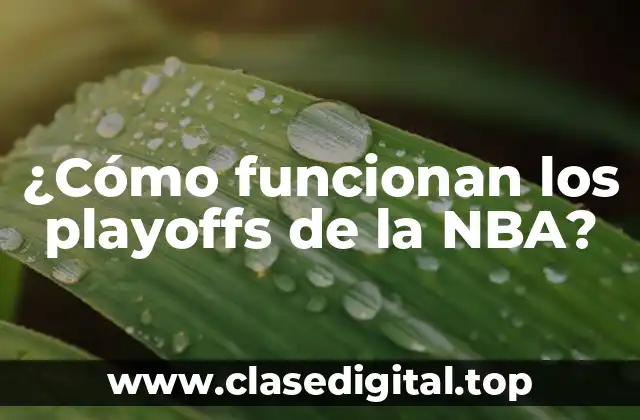 ¿Cómo funcionan los playoffs de la NBA?