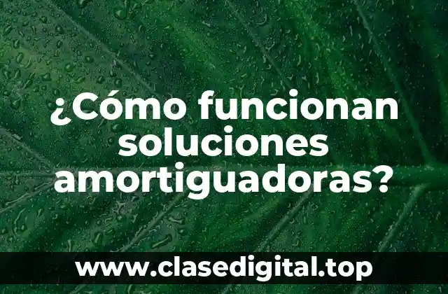 ¿Cómo funcionan soluciones amortiguadoras?