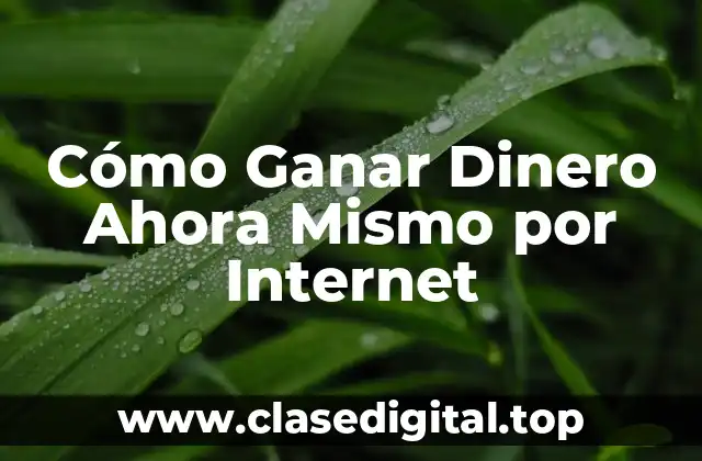 Cómo Ganar Dinero Ahora Mismo por Internet