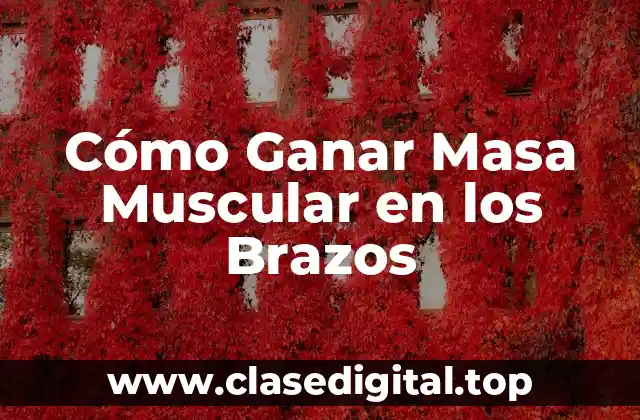 Cómo Ganar Masa Muscular en los Brazos