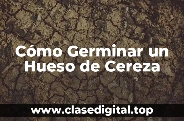 Cómo Germinar un Hueso de Cereza