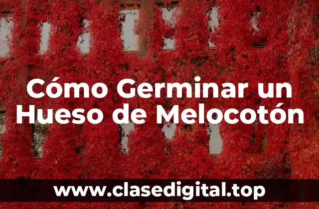 Cómo Germinar un Hueso de Melocotón