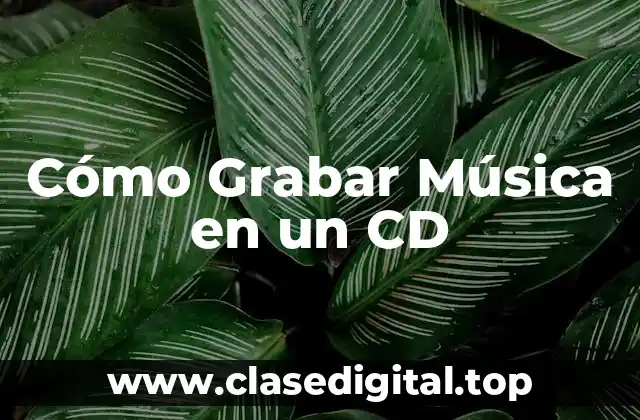 Cómo Grabar Música en un CD