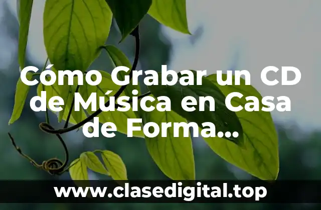 Cómo Grabar un CD de Música en Casa de Forma Profesional
