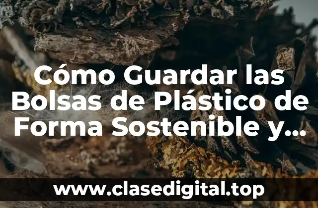 ¿Por qué es Importante Guardar las Bolsas de Plástico?