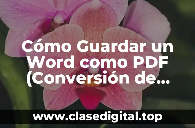 Cómo Guardar un Word como PDF (Conversión de Archivos Fácil y Rápida)